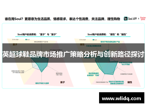 英超球鞋品牌市场推广策略分析与创新路径探讨