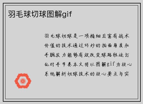 羽毛球切球图解gif