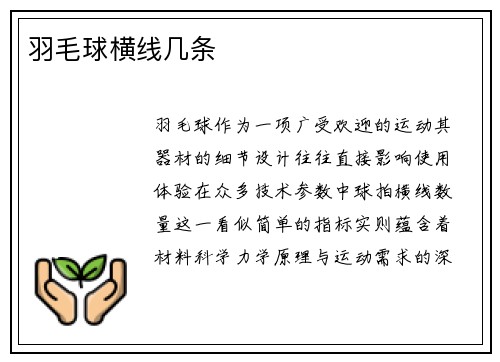 羽毛球横线几条